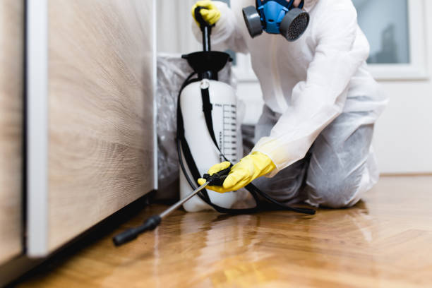 Best Cockroach Control Services  in White Pine, TN