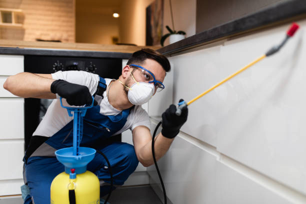 Trusted White Pine, TN Pest Control Experts