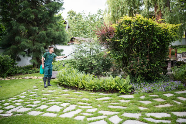 Best Pest Inspection Near Me  in White Pine, TN