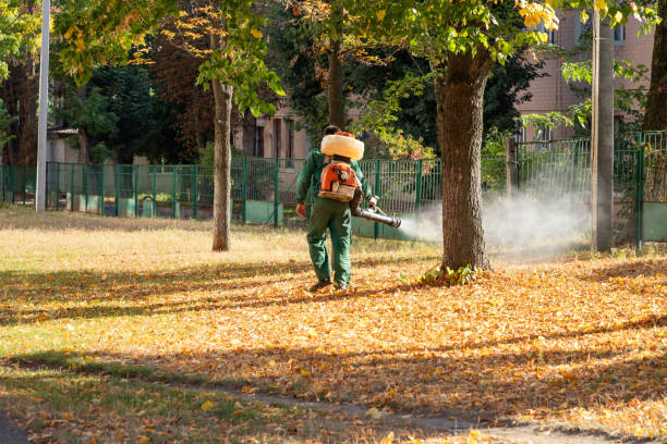 Best Mosquito Control Services  in White Pine, TN