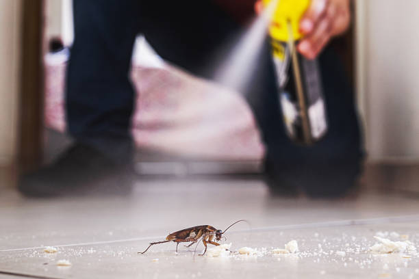 Best Emergency Pest Control  in White Pine, TN